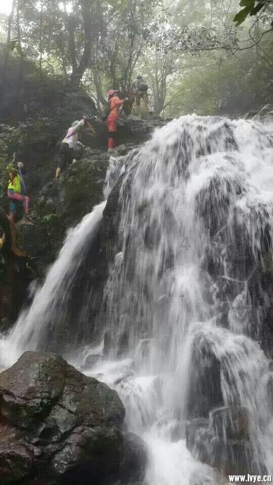 逃离水虎鱼湖